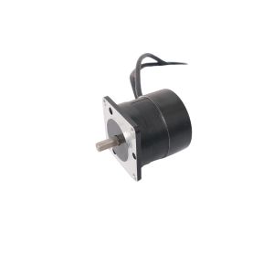 12V BLDC Motor