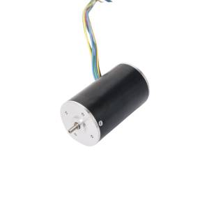 Small BLDC motor